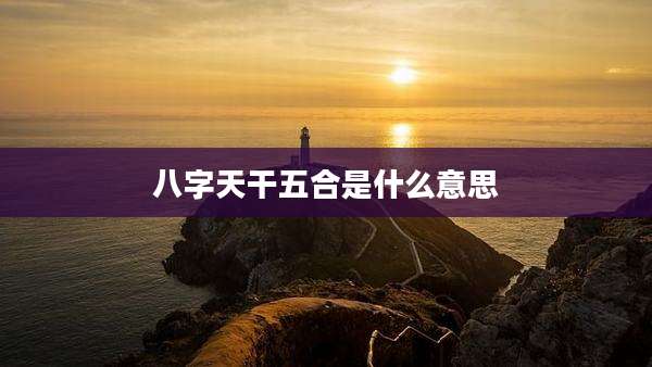 八字天干五合是什么意思