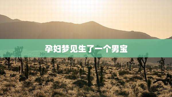 孕妇梦见生了一个男宝
