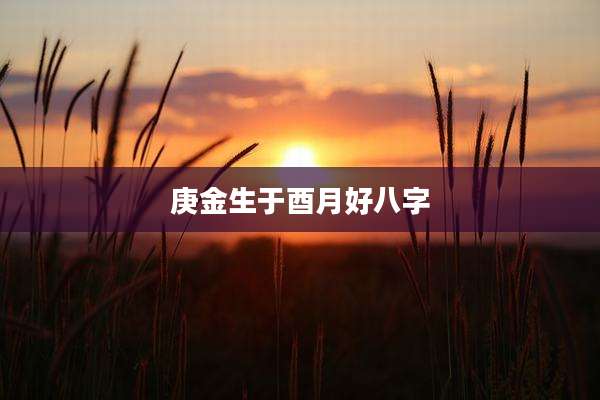 庚金生于酉月好八字