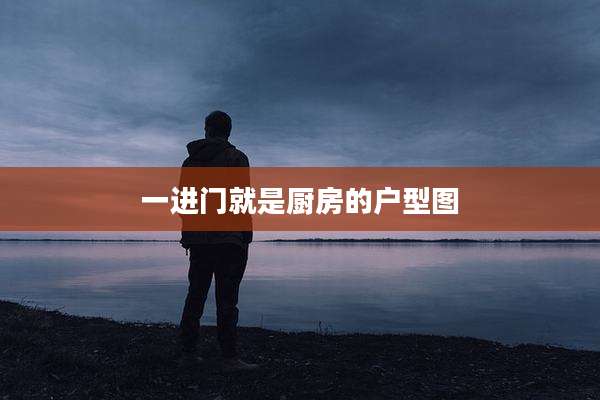 一进门就是厨房的户型图