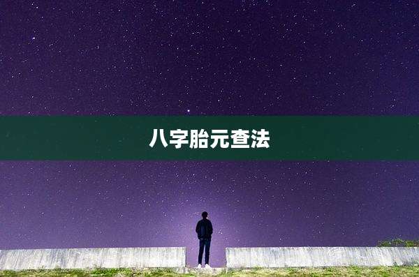 八字胎元查法