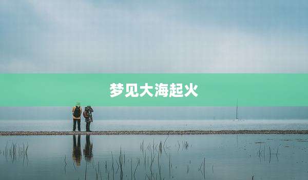 梦见大海起火