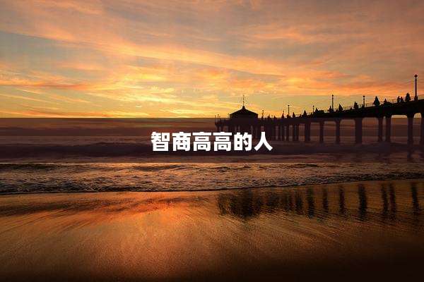 智商高高的人
