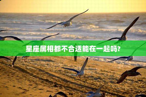 星座属相都不合适能在一起吗?