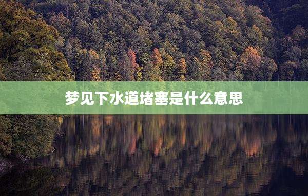 梦见下水道堵塞是什么意思