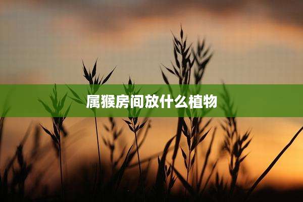 属猴房间放什么植物