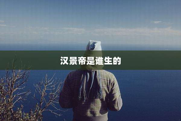 汉景帝是谁生的