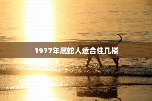 1977年属蛇人适合住几楼