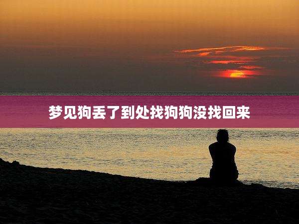 梦见狗丢了到处找狗狗没找回来