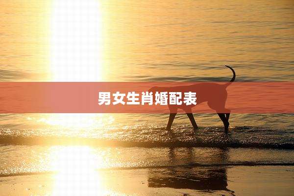 男女生肖婚配表