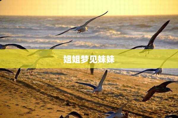 姐姐梦见妹妹