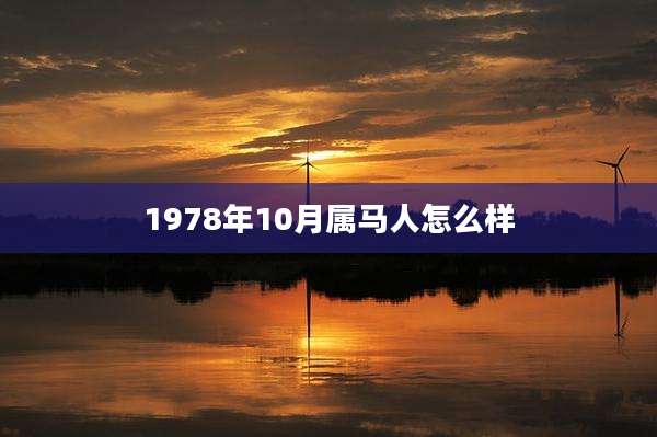 1978年10月属马人怎么样