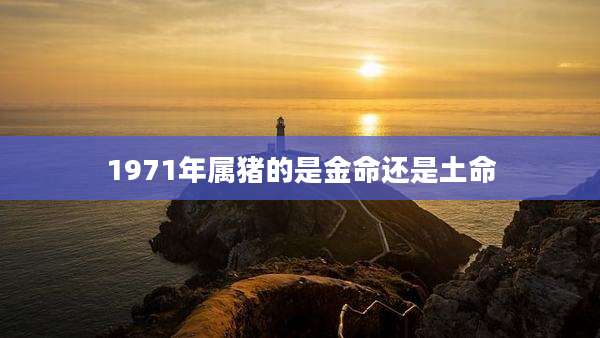 1971年属猪的是金命还是土命