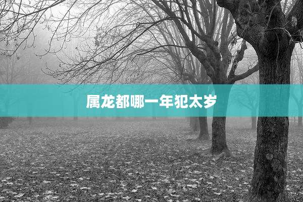 属龙都哪一年犯太岁