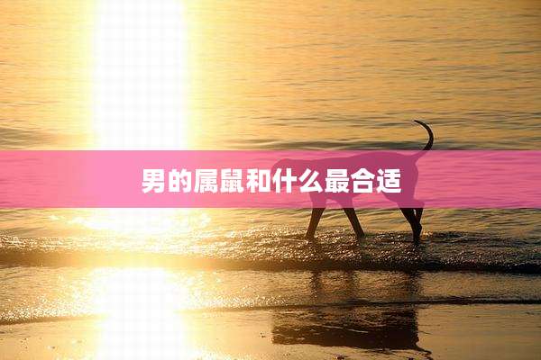 男的属鼠和什么最合适