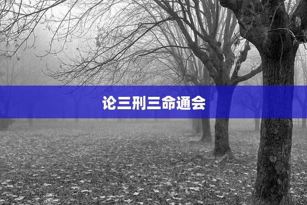 论三刑三命通会