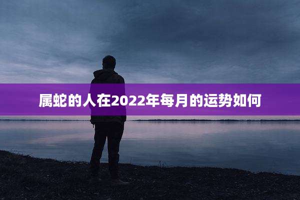 属蛇的人在2022年每月的运势如何