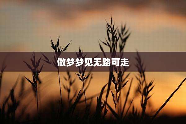 做梦梦见无路可走