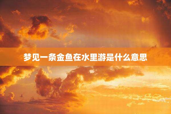 梦见一条金鱼在水里游是什么意思