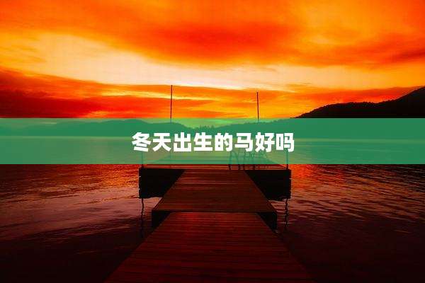 冬天出生的马好吗