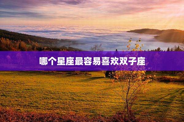 哪个星座最容易喜欢双子座