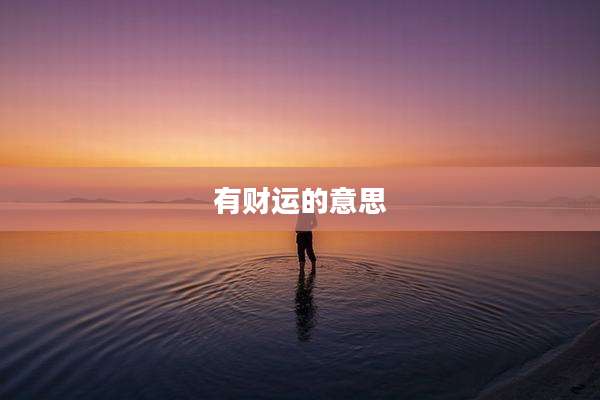 有财运的意思