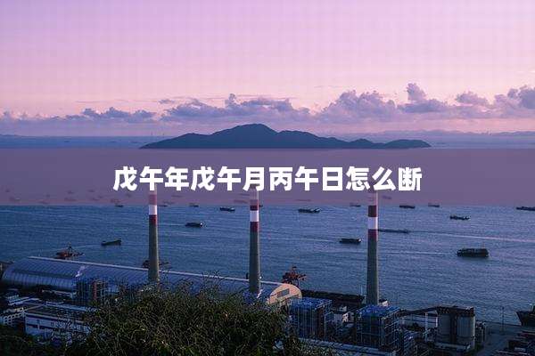 戊午年戊午月丙午日怎么断