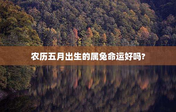 农历五月出生的属兔命运好吗?