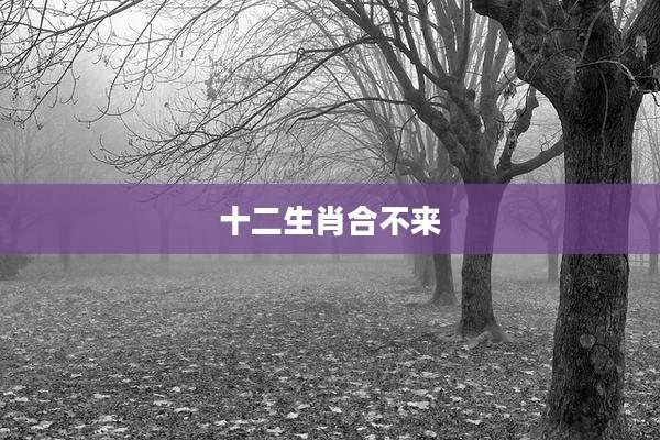 十二生肖合不来