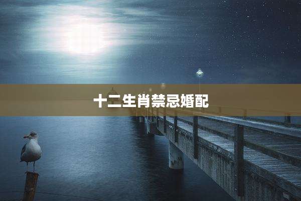 十二生肖禁忌婚配