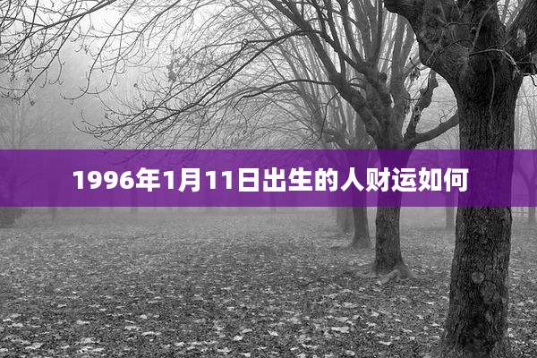 1996年1月11日出生的人财运如何