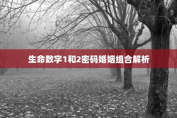 生命数字1和2密码婚姻组合解析