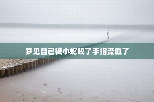 梦见自己被小蛇咬了手指流血了