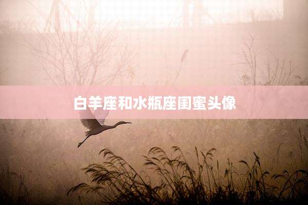 白羊座和水瓶座闺蜜头像