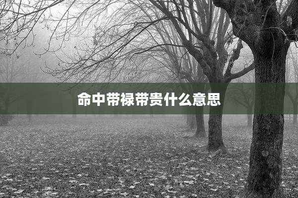 命中带禄带贵什么意思