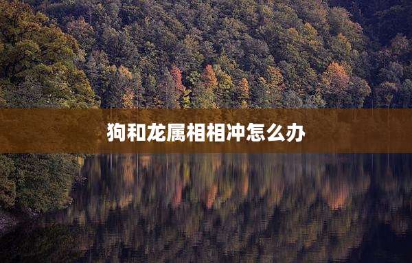 狗和龙属相相冲怎么办