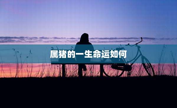 属猪的一生命运如何