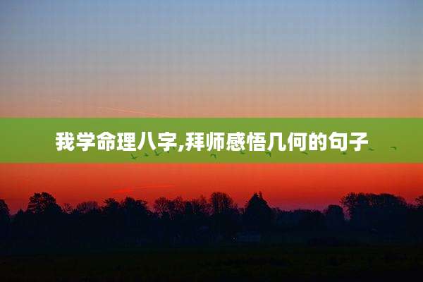 我学命理八字,拜师感悟几何的句子