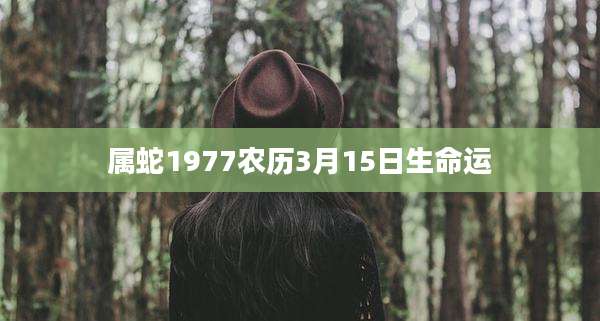 属蛇1977农历3月15日生命运
