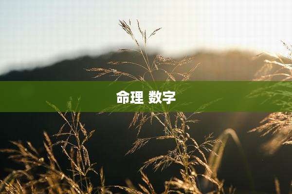 命理 数字