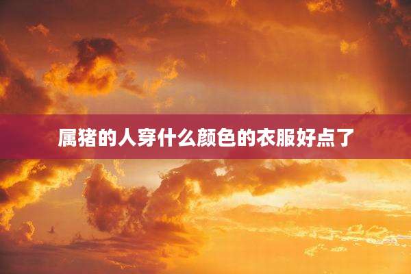 属猪的人穿什么颜色的衣服好点了