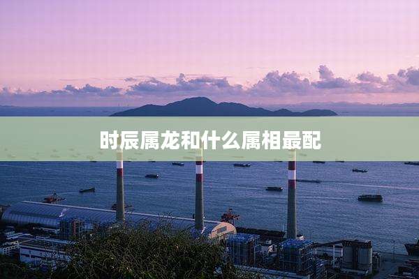 时辰属龙和什么属相最配