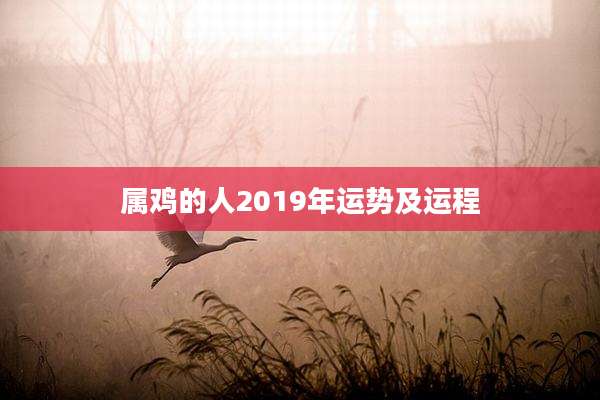 属鸡的人2019年运势及运程