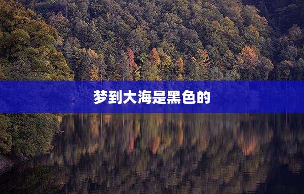 梦到大海是黑色的