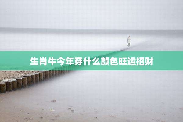生肖牛今年穿什么颜色旺运招财