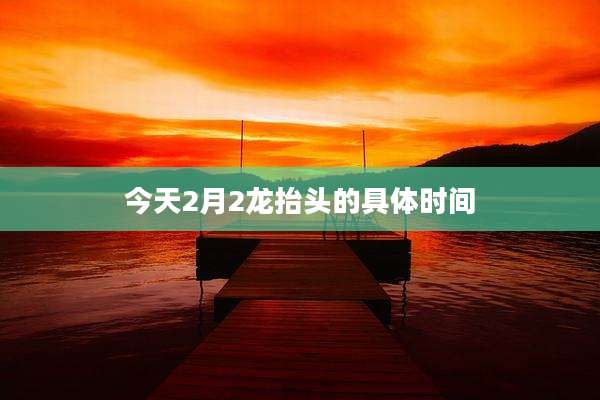 今天2月2龙抬头的具体时间