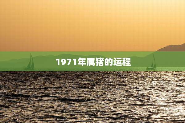 1971年属猪的运程