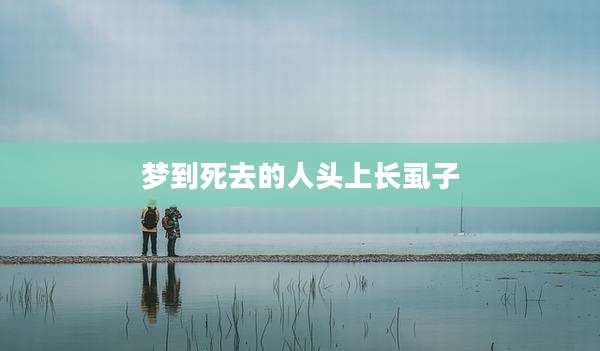 梦到死去的人头上长虱子