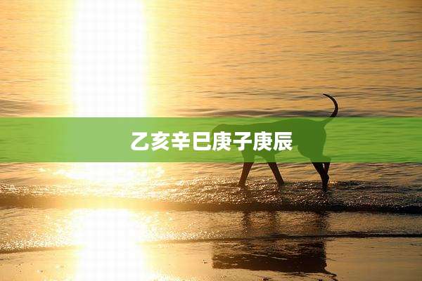 乙亥辛巳庚子庚辰