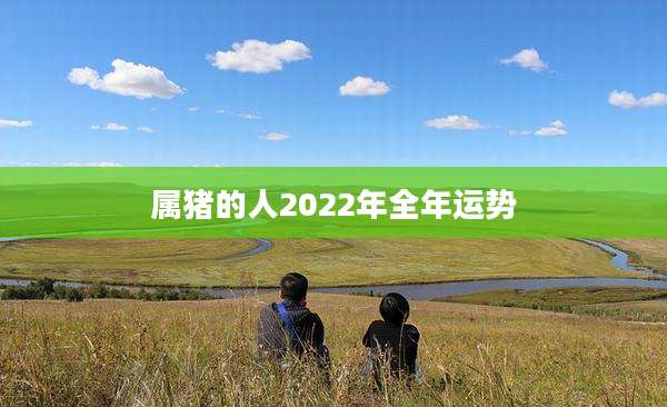 属猪的人2022年全年运势